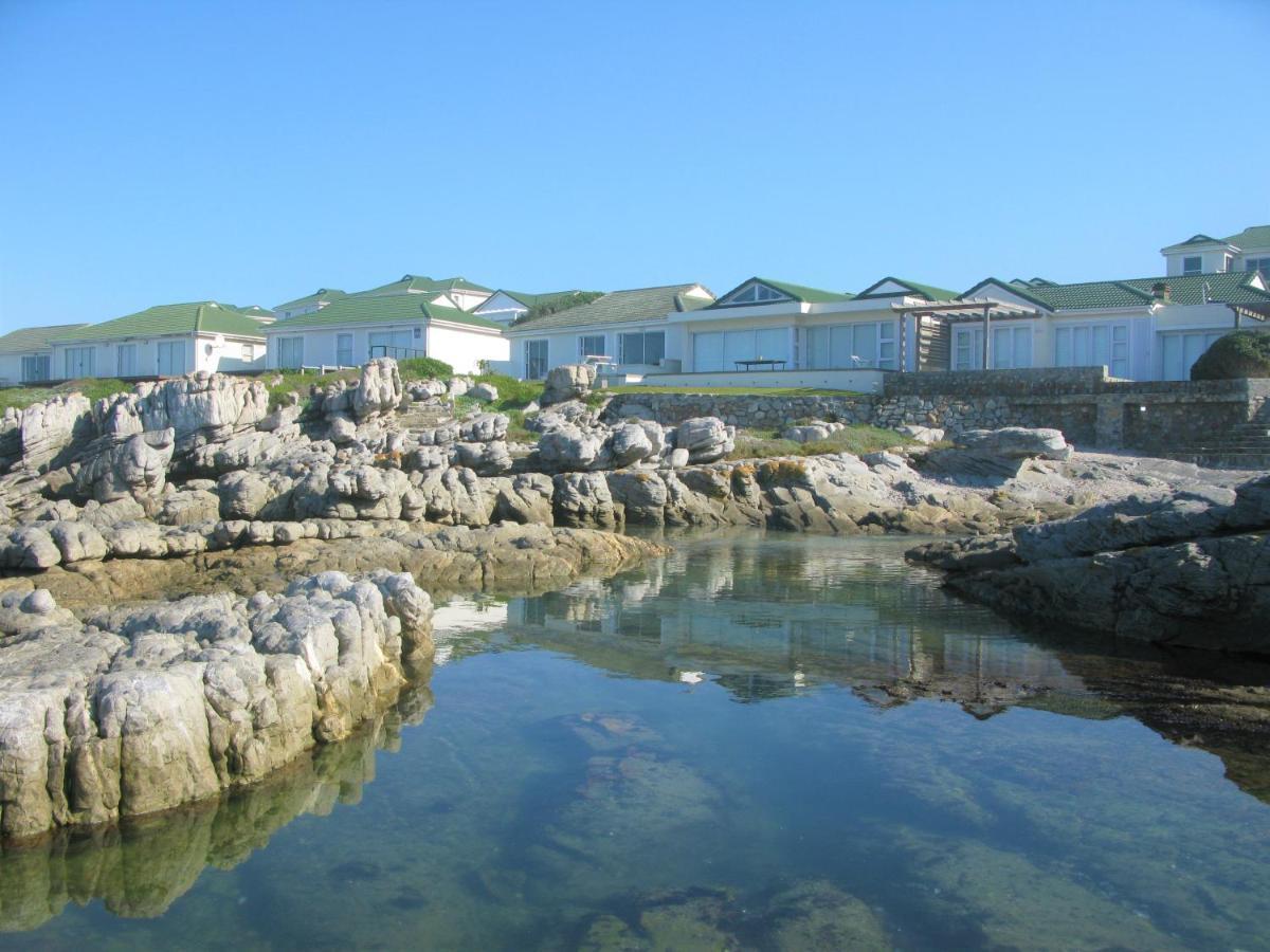 Beachfront House - Hermanus Whale View Villa Kültér fotó
