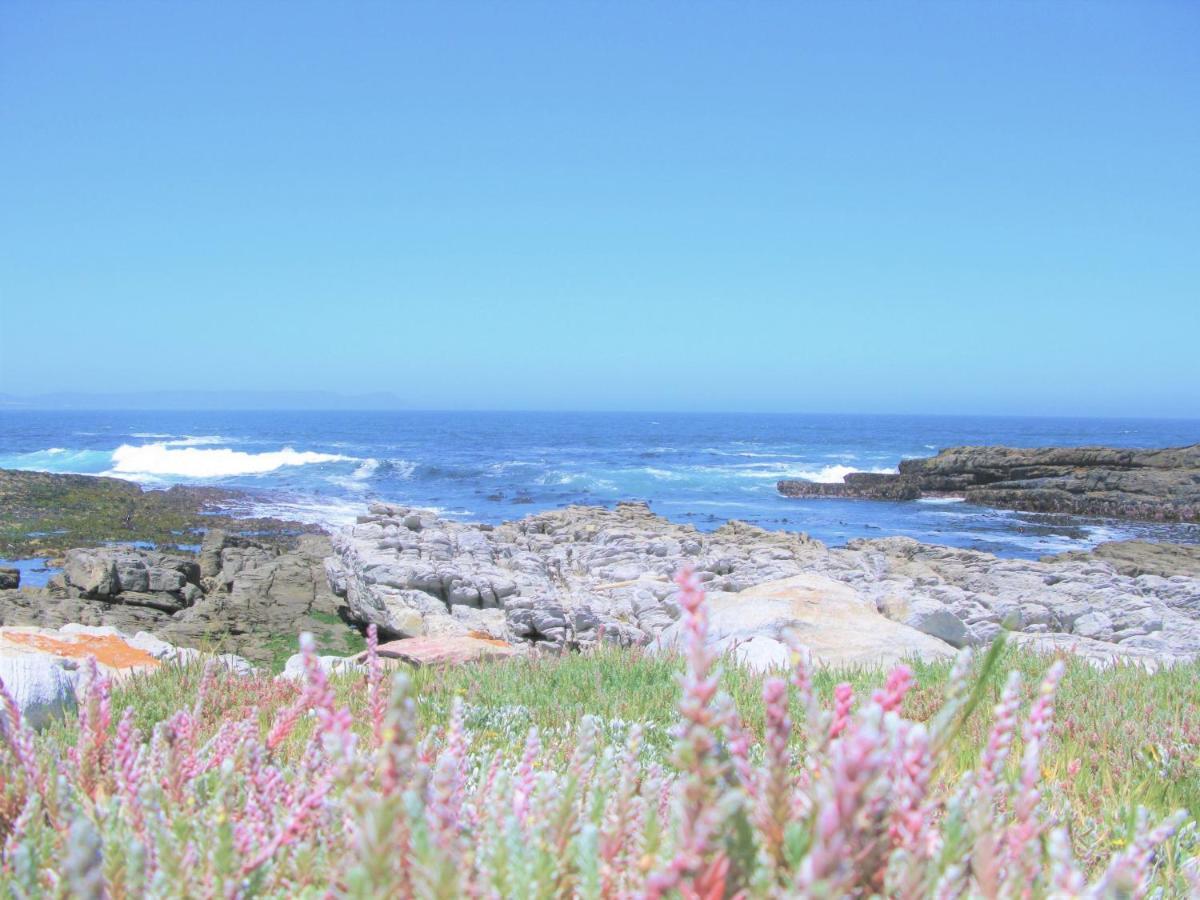 Beachfront House - Hermanus Whale View Villa Kültér fotó