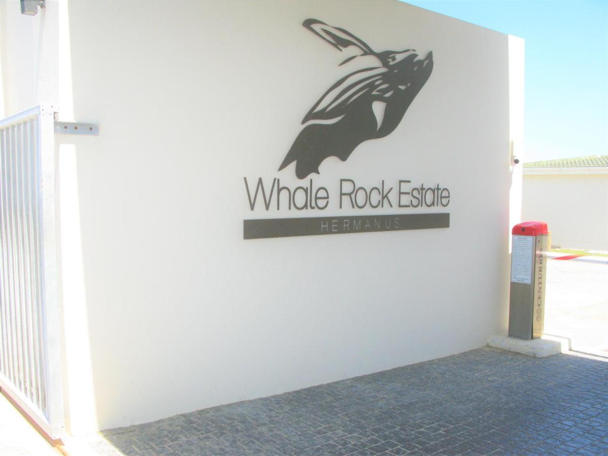 Beachfront House - Hermanus Whale View Villa Kültér fotó
