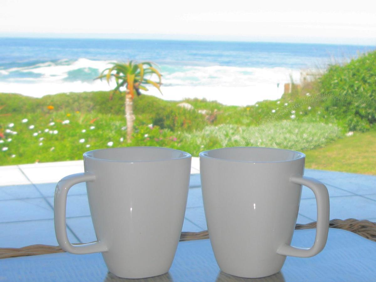 Beachfront House - Hermanus Whale View Villa Kültér fotó