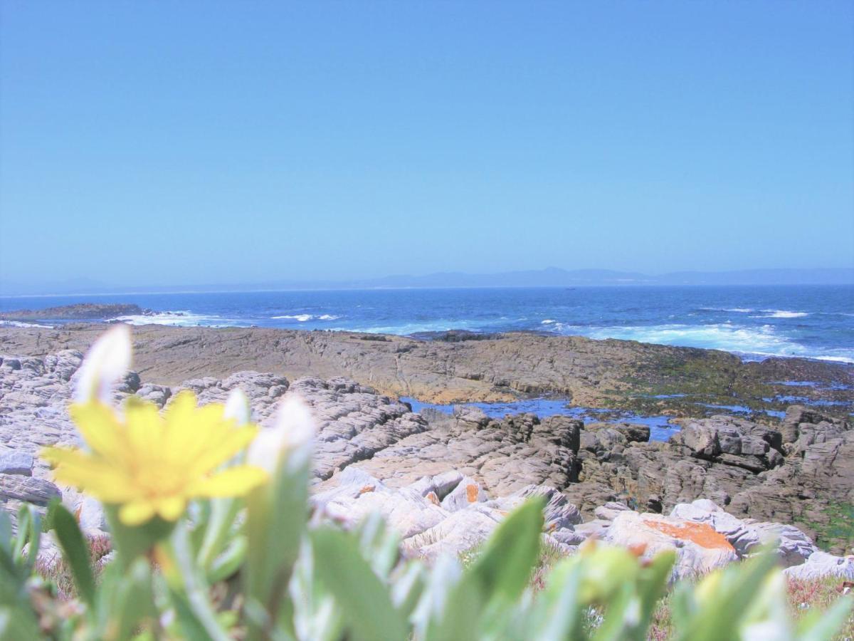 Beachfront House - Hermanus Whale View Villa Kültér fotó