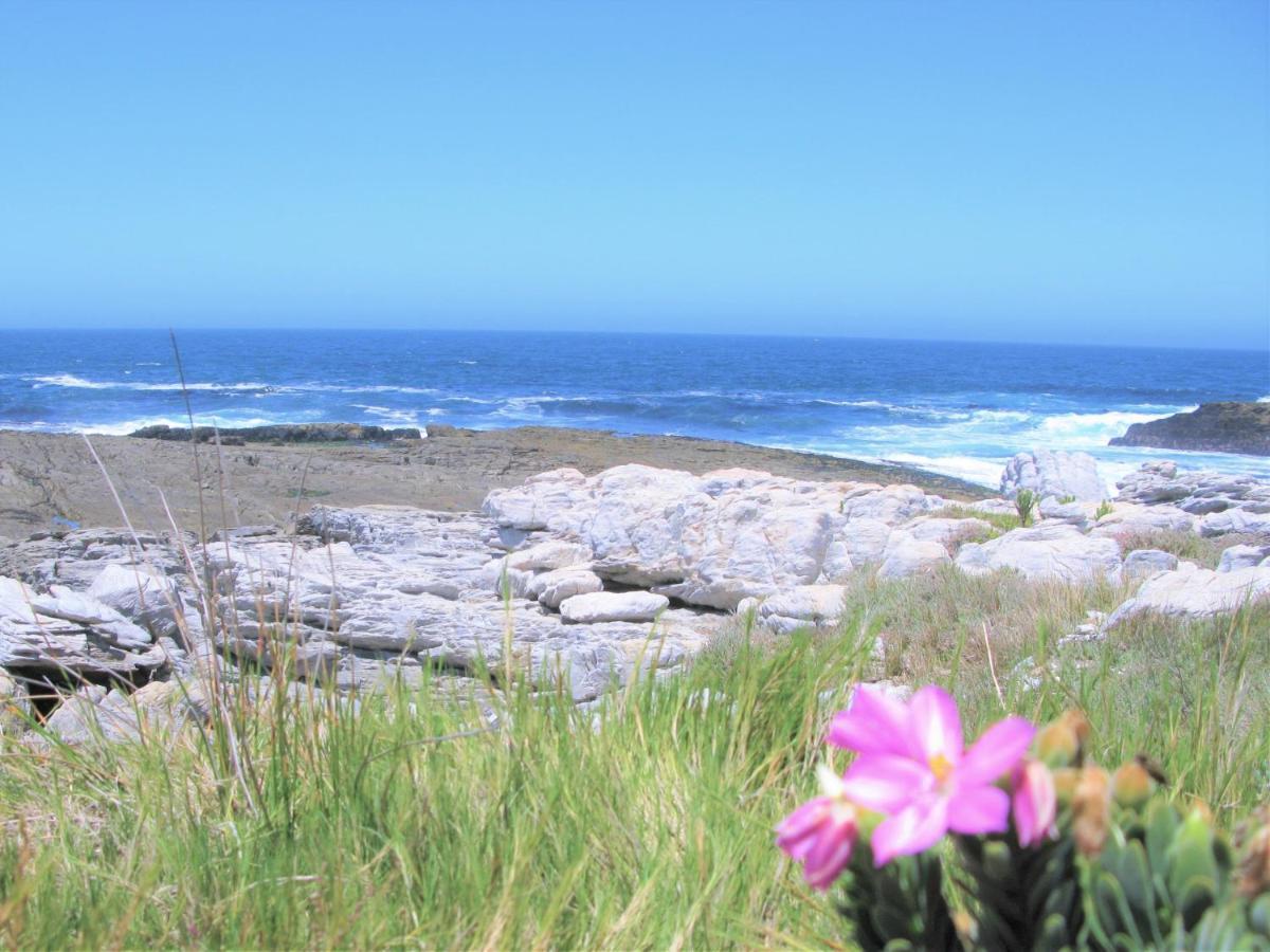Beachfront House - Hermanus Whale View Villa Kültér fotó