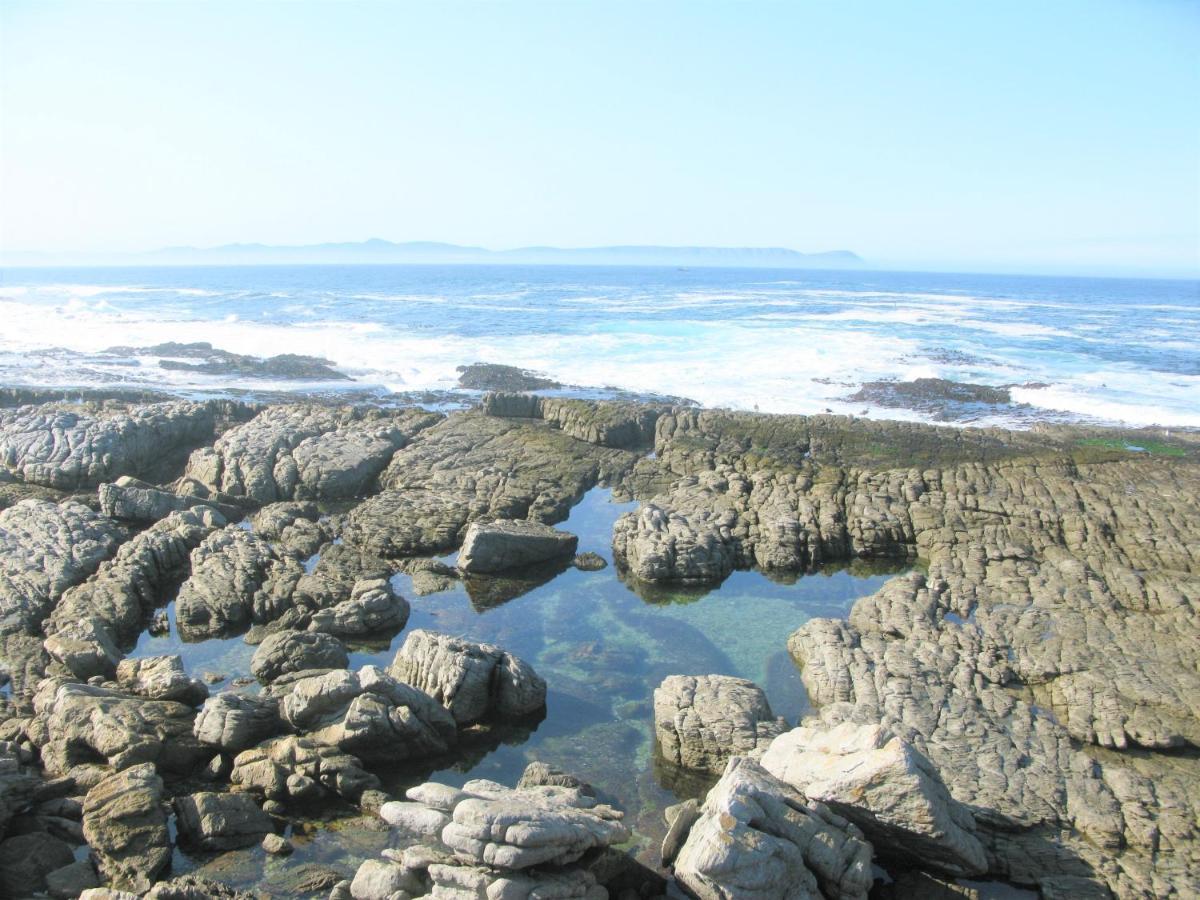 Beachfront House - Hermanus Whale View Villa Kültér fotó