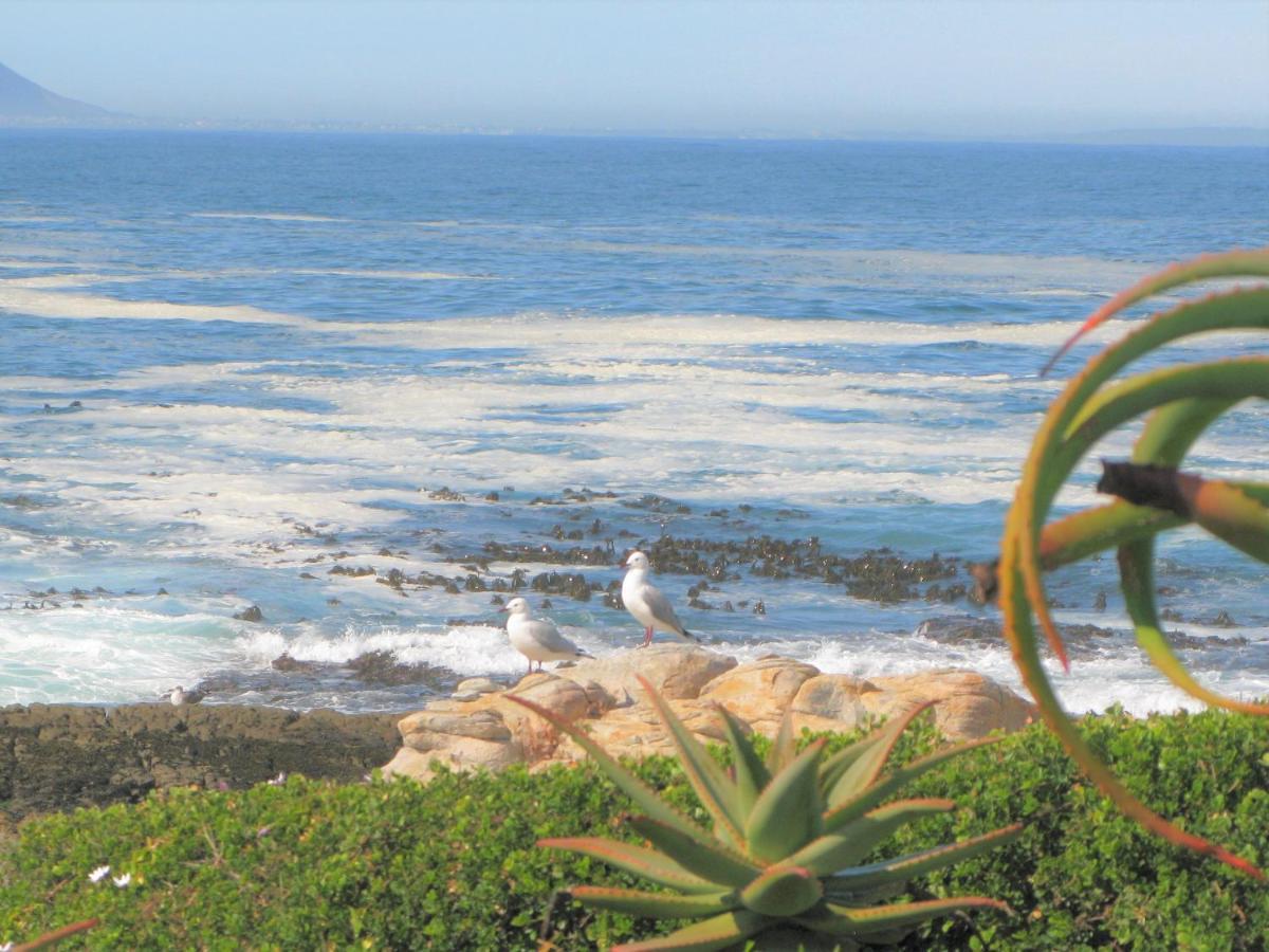 Beachfront House - Hermanus Whale View Villa Kültér fotó