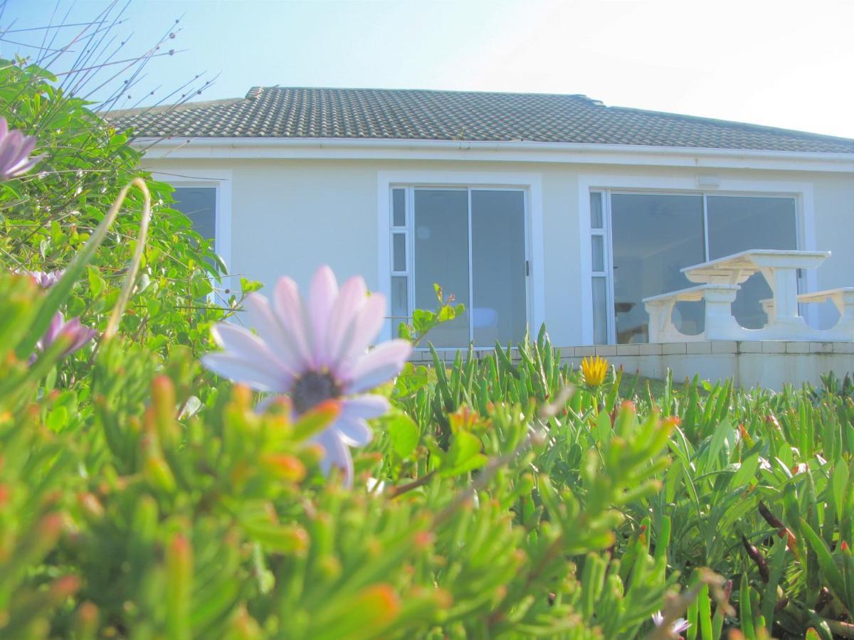 Beachfront House - Hermanus Whale View Villa Kültér fotó
