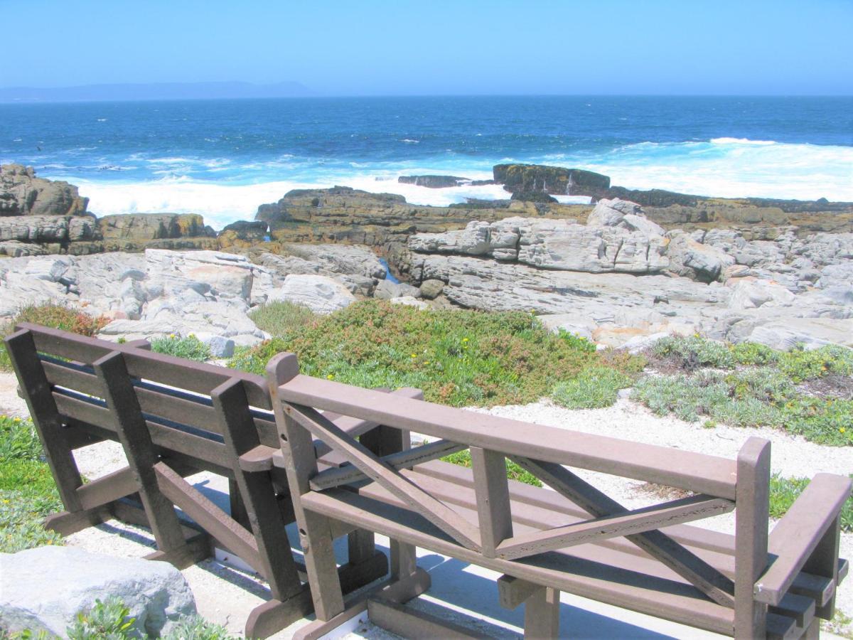 Beachfront House - Hermanus Whale View Villa Kültér fotó